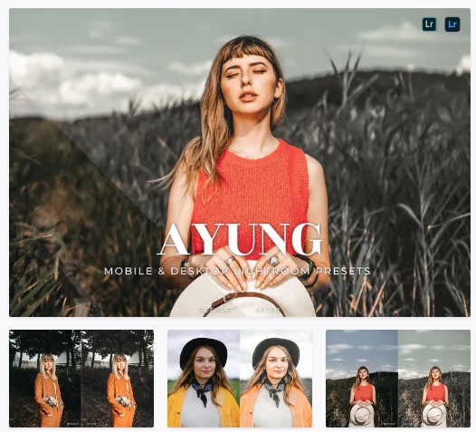 [Elements.Envato] Ayung Mobile and Desktop Lightro_0.jpg